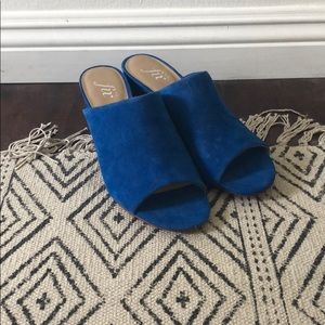 Blue mules shoes